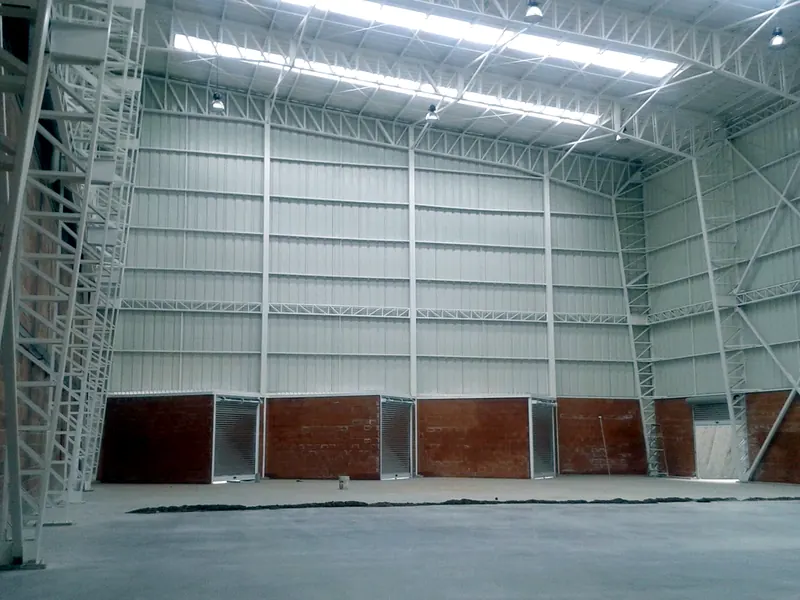 Dispapeles (2015): Estructura metálica y obra civil de nave