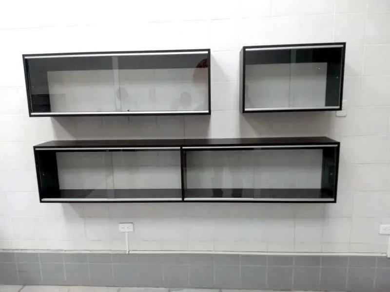 Local comercial (2019): Repisas suspendidas en melamina negra